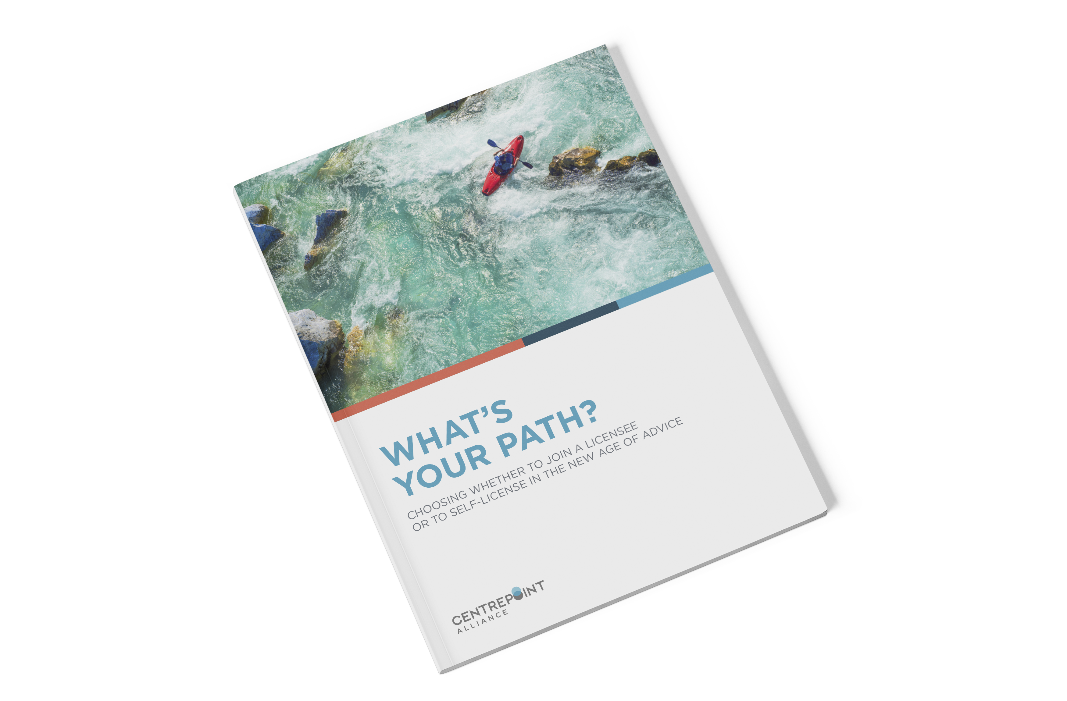 White Paper Whats Your Path